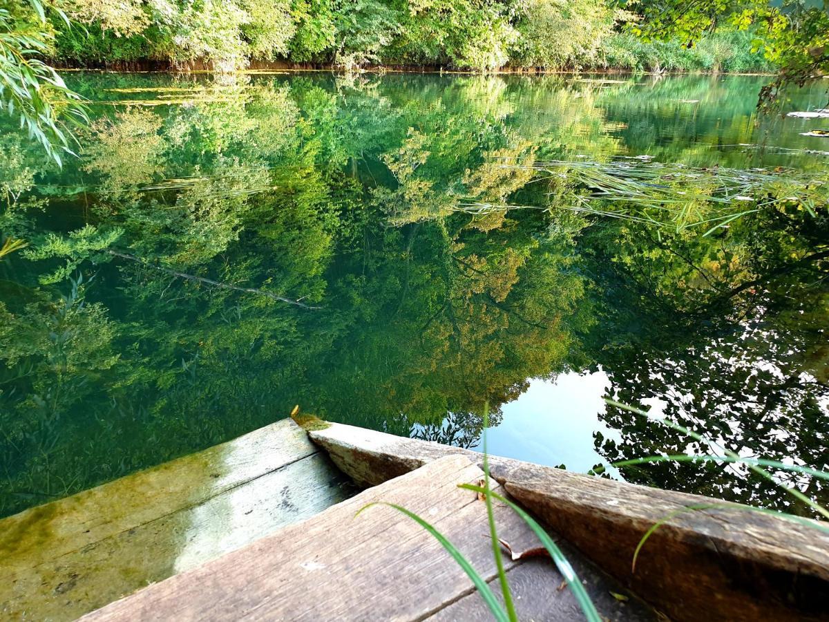 Lahinja & Kolpa River Apartments Metlika Extérieur photo