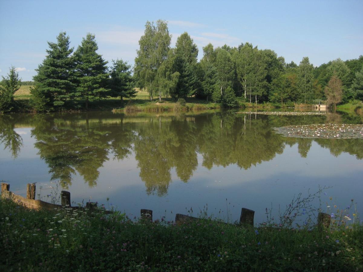 Lahinja & Kolpa River Apartments Metlika Extérieur photo